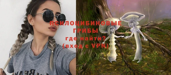 герыч Алексин