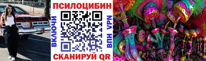 кракен как зайти  Качканар  Галлюциногенные грибы Magic Shrooms 